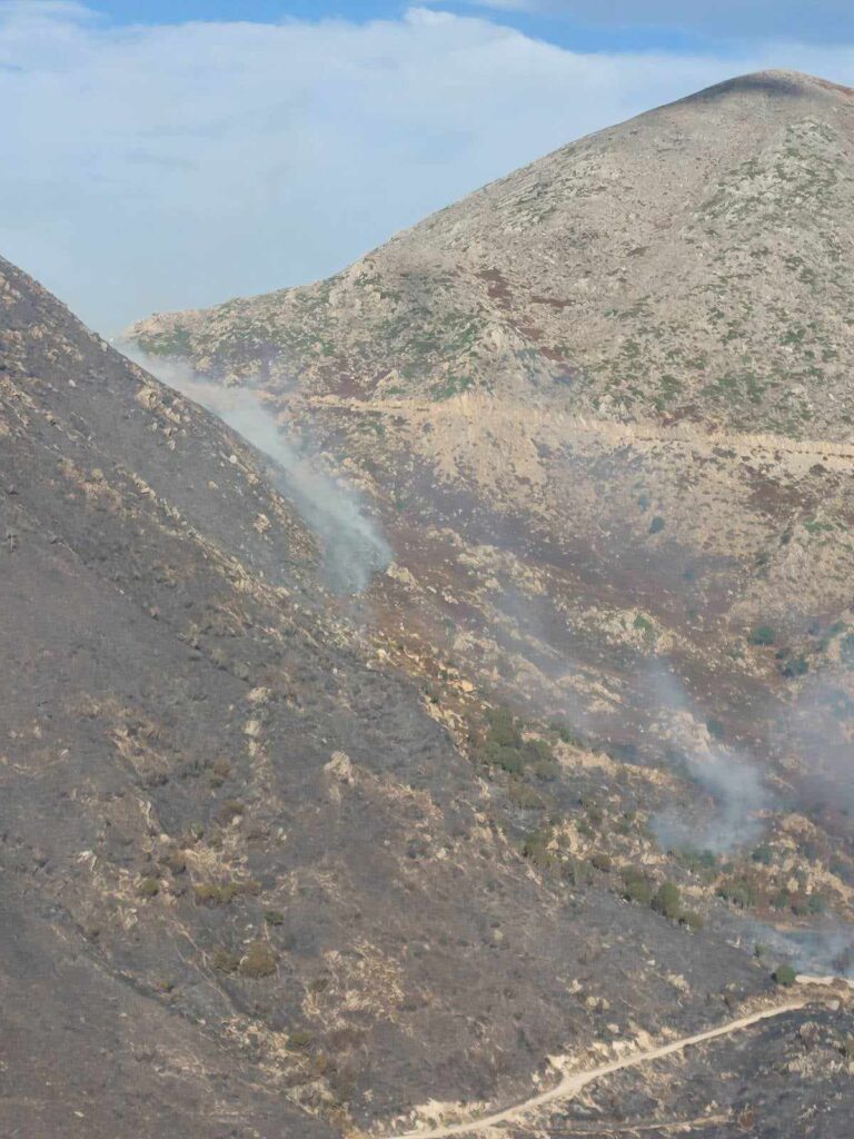 371481449 221609137607471 8996145070232577919 N 768x1024 1