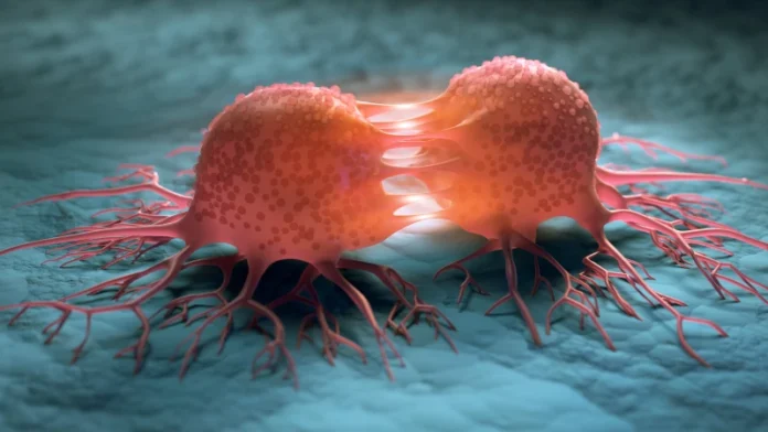 Cancer Cells 696x392