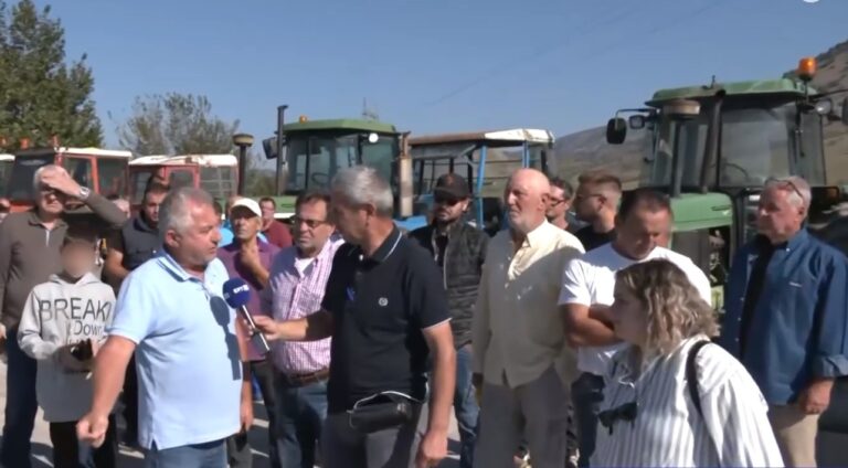 Zarko Agrotes 768x424 1