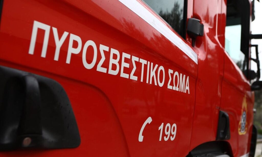 Pirosvestiki Fwtia