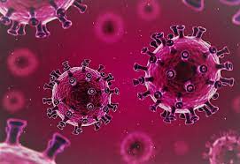 αρχείο λήψης 2024 01 03t115729.224