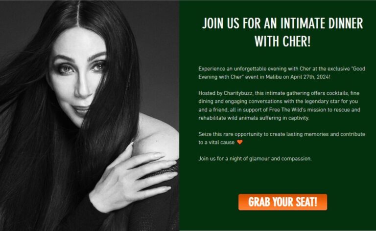 Cher Charity Dinner E1707822598167 768x473