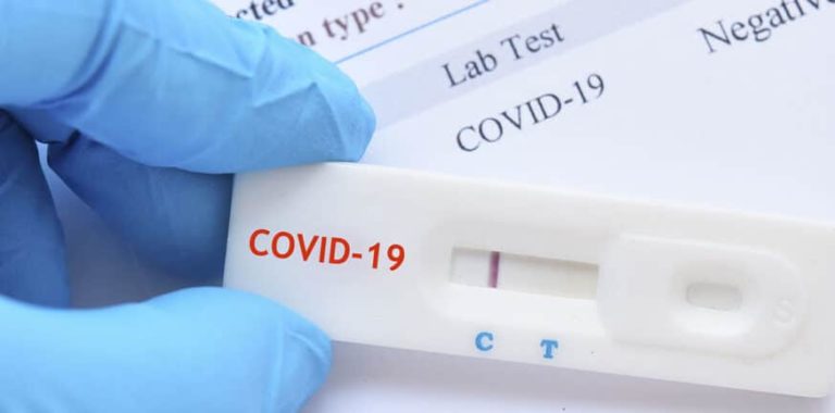 Rapid Test 873x432 1 768x380