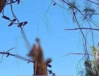 Στιγμιότυπο οθόνης 2024 02 28 151350