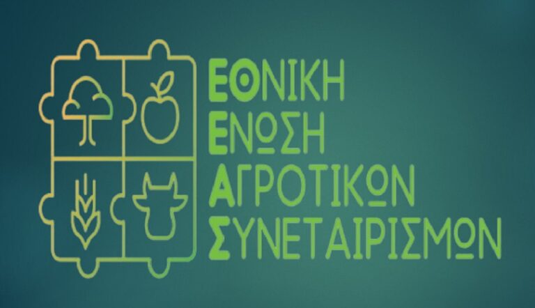 1663335471 0 Etheas 768x442