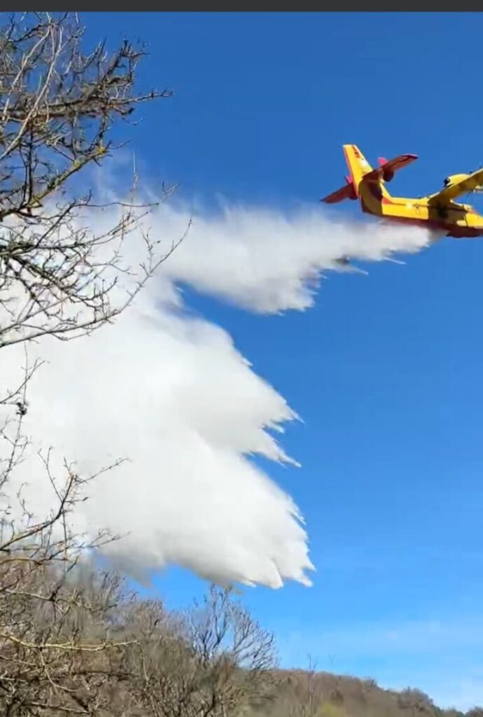 Screenshot 20240402 173925 Facebook 768x1140